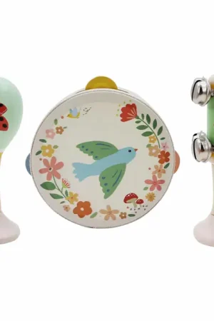 Rechtstreeks Van De Fabrikant Houten Muziekset Vogel - 3dlg.