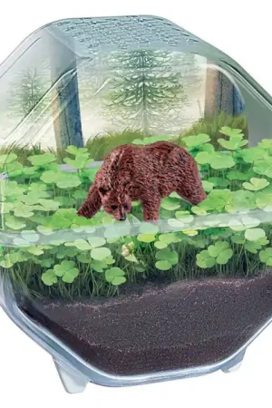 Voordeelprijs Clementoni Wetenschap & Spel My Wild Terrarium - Beer