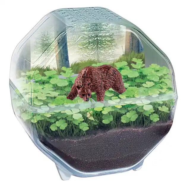 Voordeelprijs Clementoni Wetenschap & Spel My Wild Terrarium - Beer