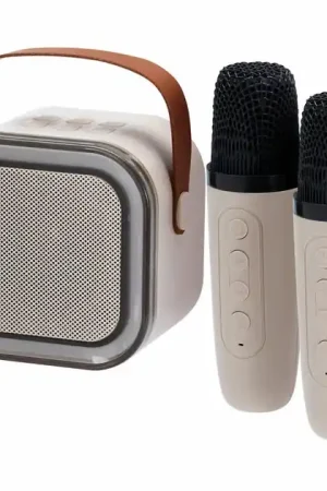 Alleen Vandaag Draadloze Karaokeset met Speaker en 2 Microfoons