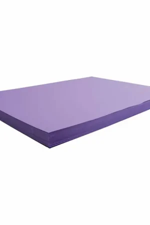 Lage Prijs Gekleurd Karton Paars 270gr, 100 Vellen