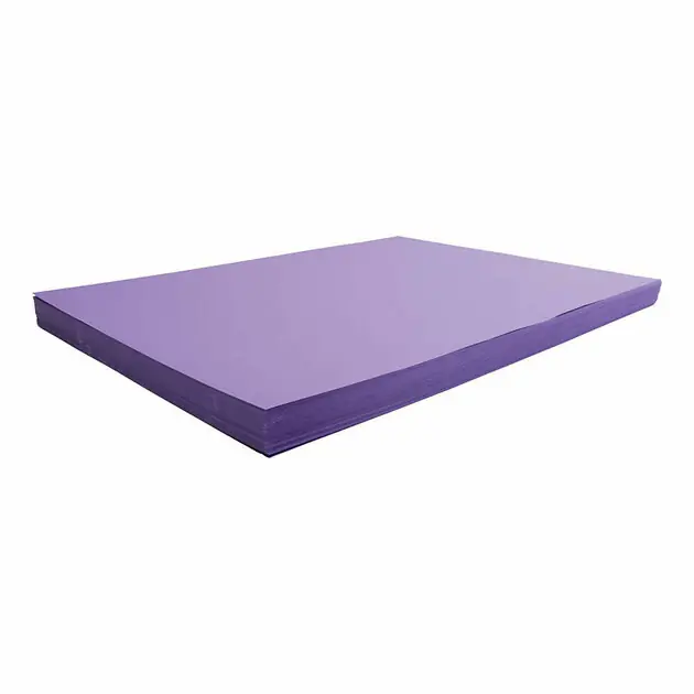 Lage Prijs Gekleurd Karton Paars 270gr, 100 Vellen