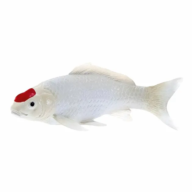 Aanbieding Mojo Koi Collection - Tancho Koi Rode Stippen 381119