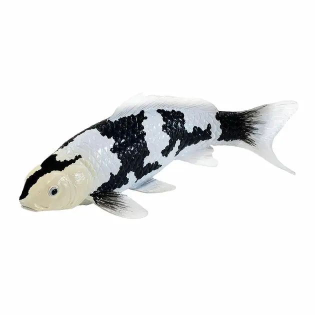 Mojo Koi Collection - Shiro Utsuri Koi Zwart Wit 381120 Lage Prijs
