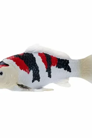 Mojo Koi Collection - Showa Sanshoku Koi Driekleurig 381121 Bestseller
