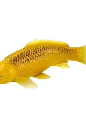 Mojo Koi Collection - Kin Matsuba Koi Goud 381123 Koopje