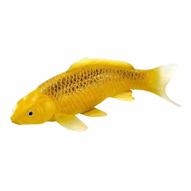 Mojo Koi Collection - Kin Matsuba Koi Goud 381123 Koopje