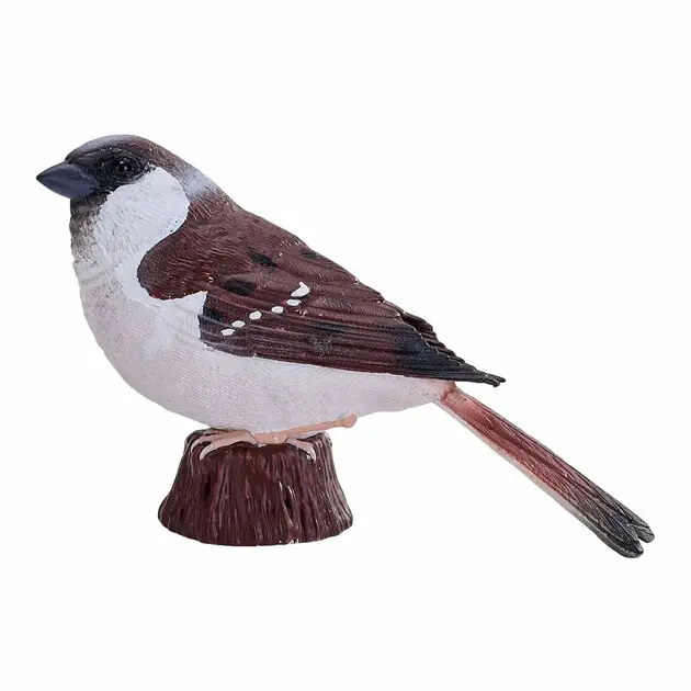 Bestel Nu Mojo Garden Birds Huismus 381128