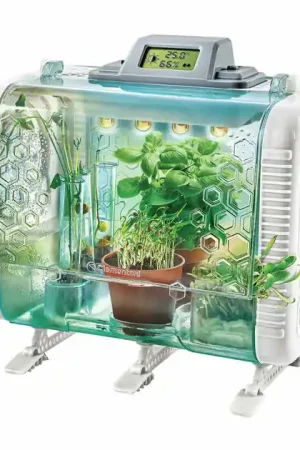 Goedkoop Clementoni Wetenschap en Spel - Mijn Hi-tech Kweekkas Experimenset
