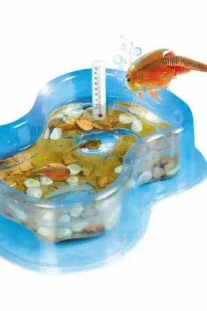 Koopje Clementoni Wetenschap & Spel Kweek je eigen Triops