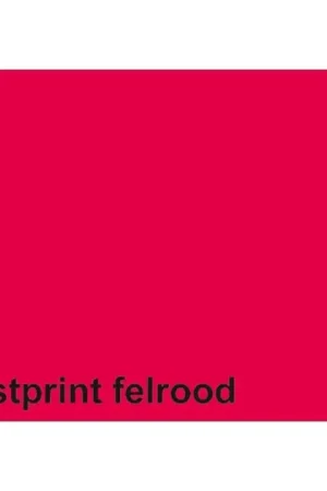 Dagaanbieding Kopieerpapier Fastprint A4 160gr felrood 50vel