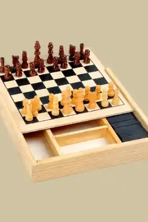 Snelle Levering Houten Spellen