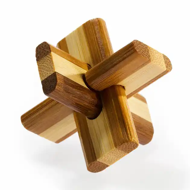 Houten Breinpuzzels Favoriet
