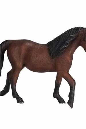 Dagaanbieding Paarden