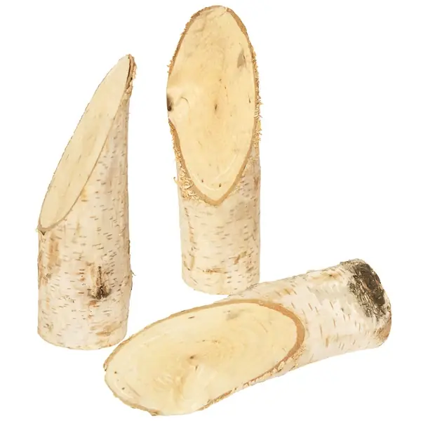 Eduplay - 5 houten berken stammetjes Goedkoop