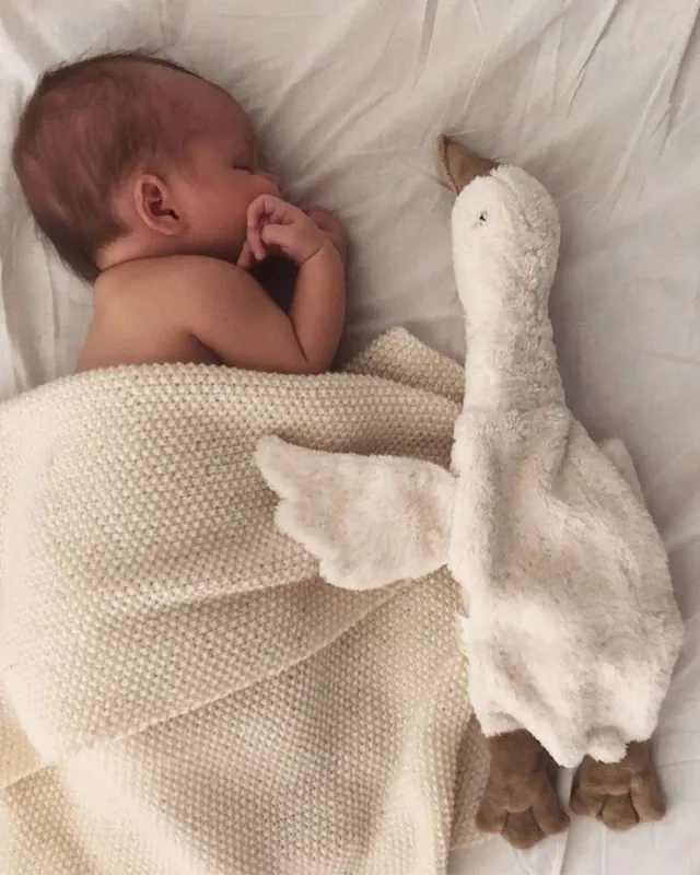 Knuffel Warmtekussen Met Kersenpitjes | Goose Gans Small White Senger Naturwelt Beperkte Voorraad