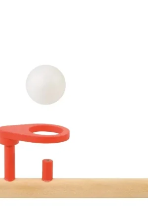 Lage Kosten Eduplay - Blaasspelletje met balletje