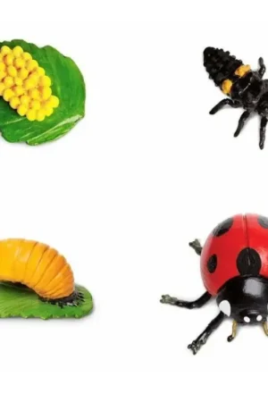 Speelfiguur levenscyclus lieveheersbeestje - Safari Ltd Korting