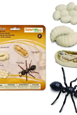 Beste Prijs Speelfiguren Levenscyclus Mier - Safari Ltd 4 stuks