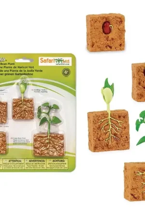 Speelfiguren Levenscyclus Sperziebonenplant - Safari Ltd 4 stuks Hete Deal