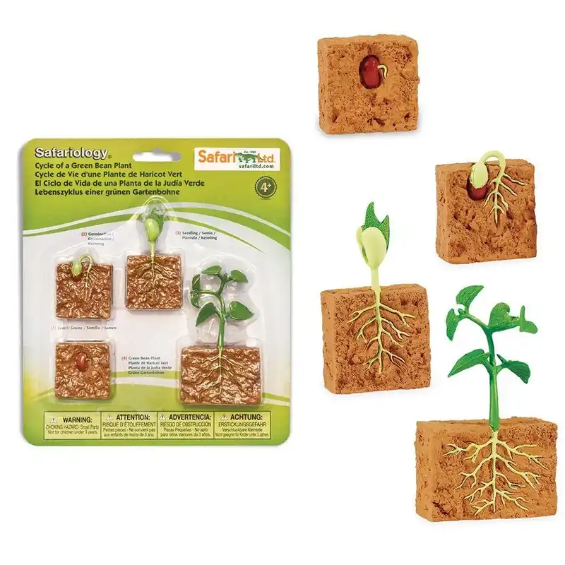 Speelfiguren Levenscyclus Sperziebonenplant - Safari Ltd 4 stuks Hete Deal