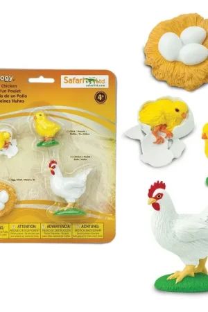 Lage Kosten Speelfiguren Levenscyclus Kip - Safari Ltd 4 stuks