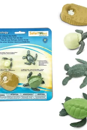 Speelfiguren Levenscyclus Zeeschildpad - Safari Ltd 4 stuks Nieuw