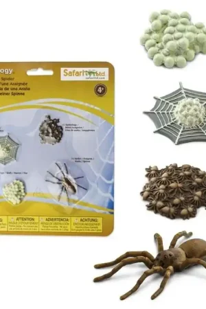 Speelfiguren Levenscyclus Spin - Safari Ltd 4 stuks Must-Have