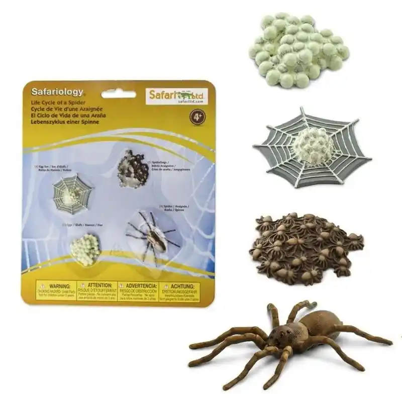 Speelfiguren Levenscyclus Spin - Safari Ltd 4 stuks Must-Have