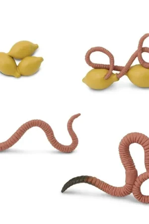 Speelfiguren Levenscyclus Regenworm - Safari Ltd 4 stuks Meest Verkocht