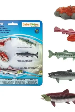 Gereduceerde Prijs Speelfiguren Levenscyclus Zalm - Safari Ltd 5 stuks