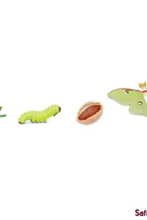 Speelfiguur levenscyclus mot - Safari Ltd Hete Deal