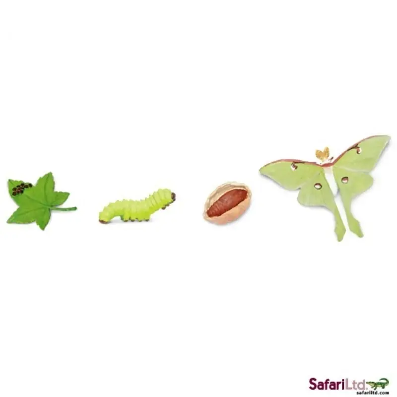 Speelfiguur levenscyclus mot - Safari Ltd Hete Deal