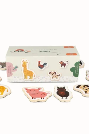 Tix&Mix - Magnetische Speelset Dieren Ontmoeten, 20-delig Direct Beschikbaar