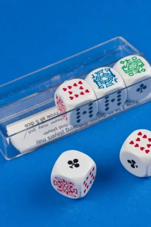 Lage Kosten Doosje met 5 pokerstenen 16 mm