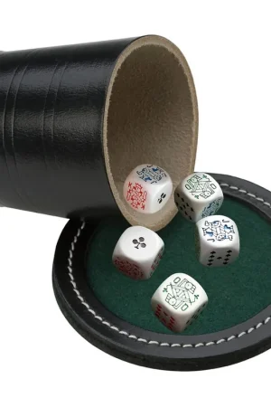 Nieuw Pokerbeker leder met 5 pokerstenen 18 mm