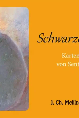 Zwarte Piet - Kaartspel Meest Verkocht