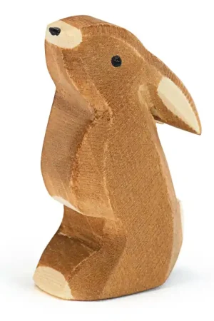 Favoriet Ostheimer Bunny, naar boven kijkend