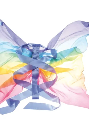Zijden Vleugels Regenboog Beste Prijs