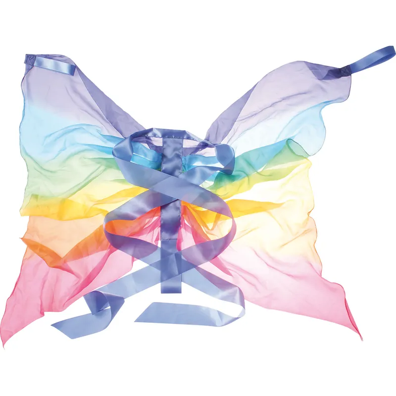 Zijden Vleugels Regenboog Beste Prijs