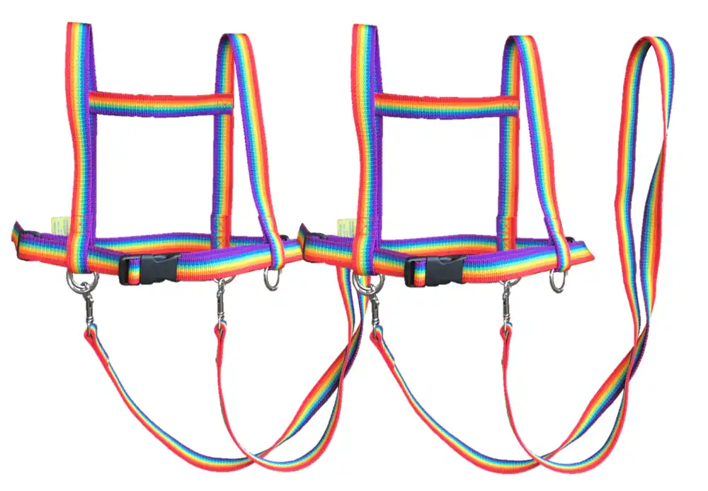 Gecertificeerd Paard dubbele speellijn regenboog voor 3 kinderen