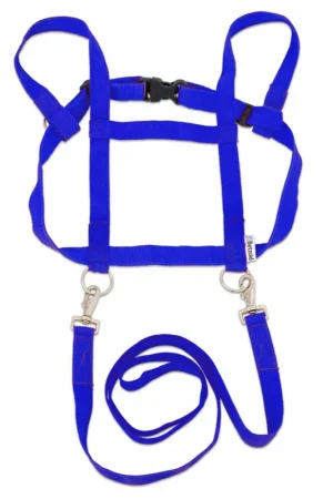 Beste Prijs Paardentuigje - Blauw