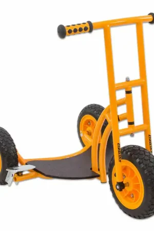 TopTrike Step met Treeplank Rechtstreeks Van De Fabrikant